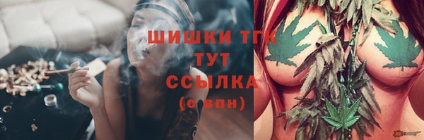spice Аркадак
