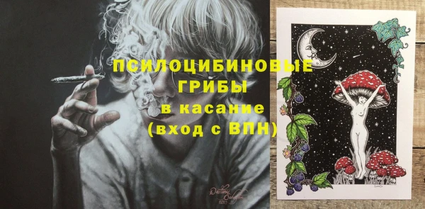 spice Аркадак