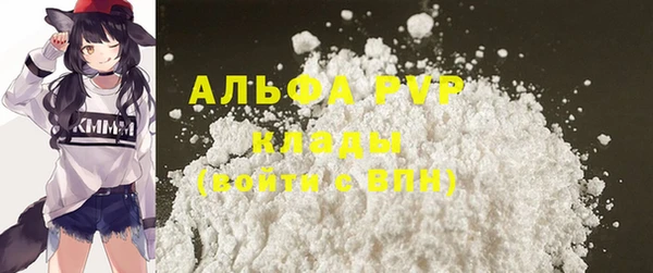 spice Аркадак