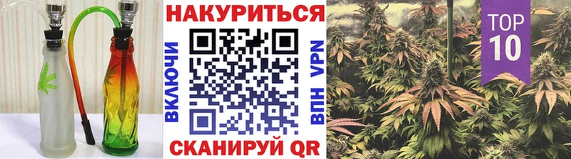 где можно купить   Сорочинск  Марихуана конопля 